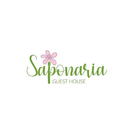 Saponaria Casa Al Mare Apartment CTA Exterior foto
